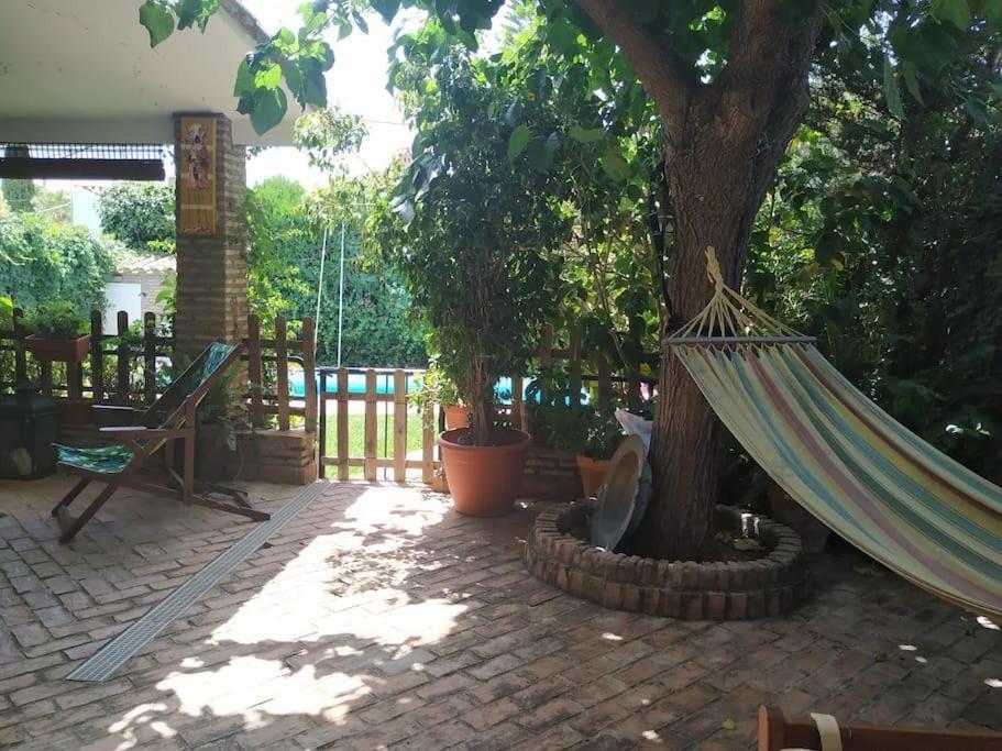 Entre Limones, Casa De Invitados En Vivienda Familiar Apartamento
